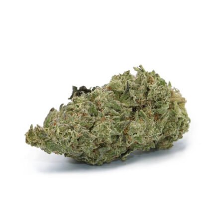 Buy Girl Scout Cookies Weed Online