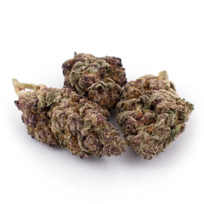 Buy Granddaddy Purple Strain