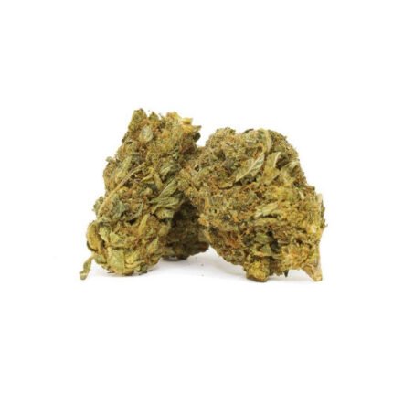 buy amnesia haze online