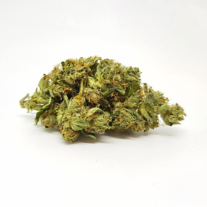 buy northern lights strain