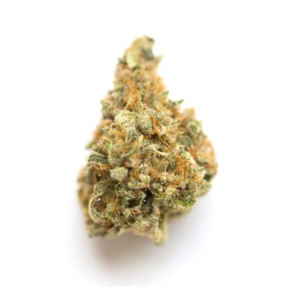 lemon haze cannabis
