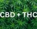 can you buy weed online in australia