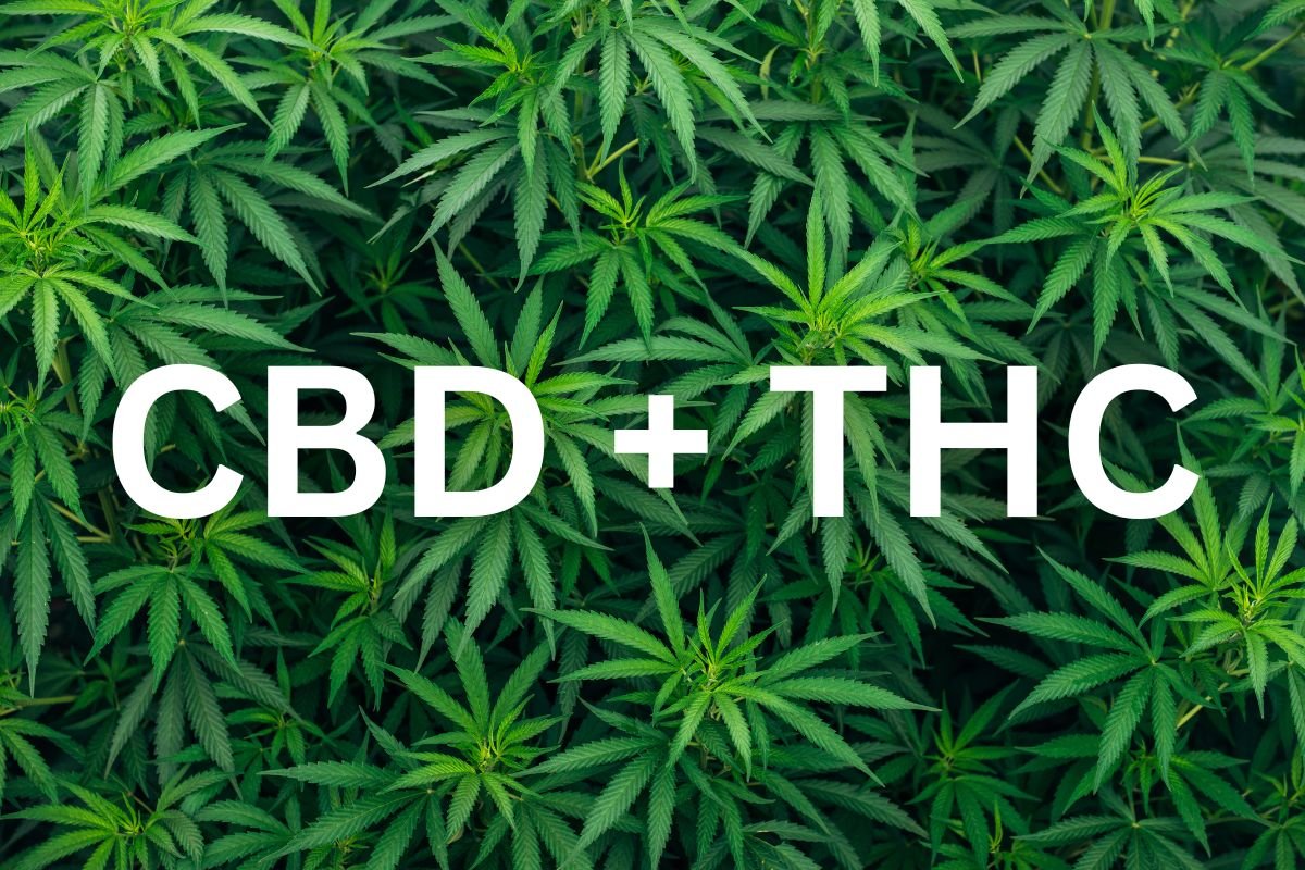 can you buy weed online in australia