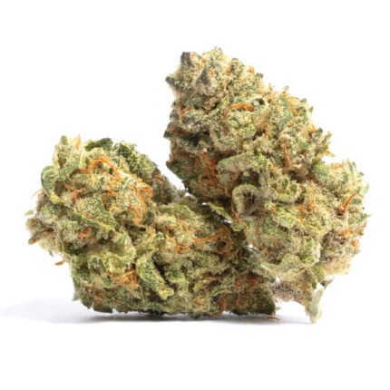 Mega Lemon Strain