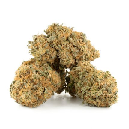 Sapphire Scout Strain
