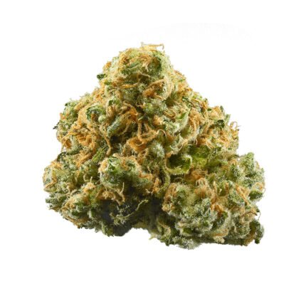 dr grinspoon weed