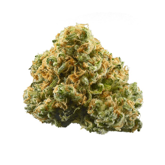 dr grinspoon weed