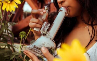 is it illegal to buy a bong in queensland